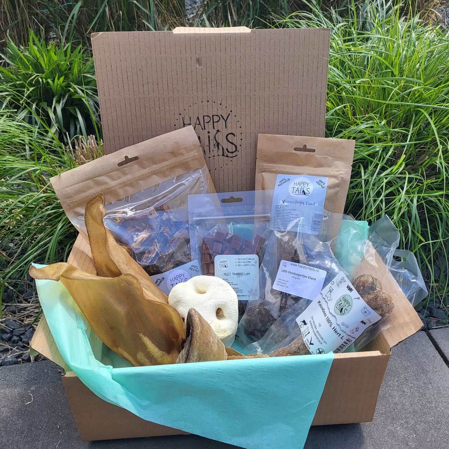 Snackbox puppy