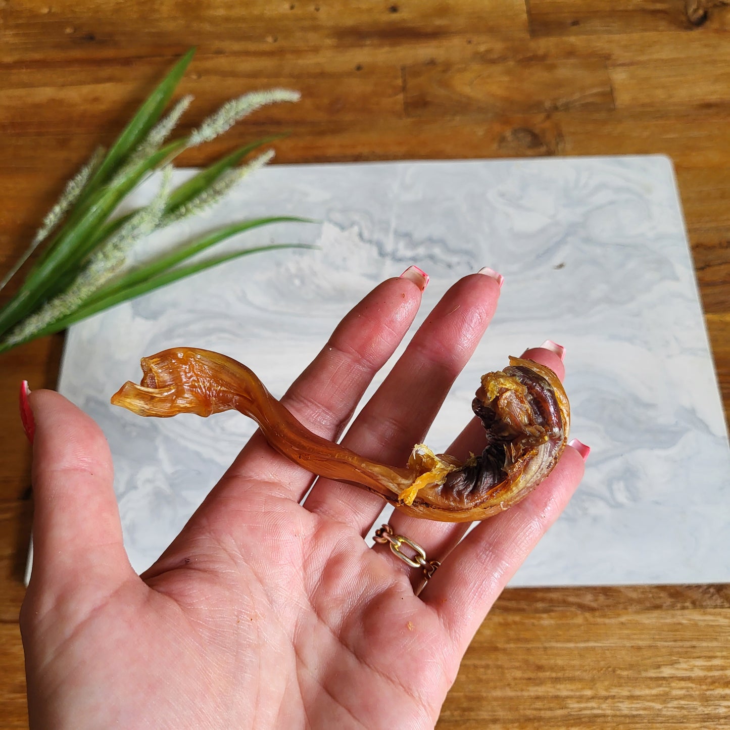 Struisvogel peesjes