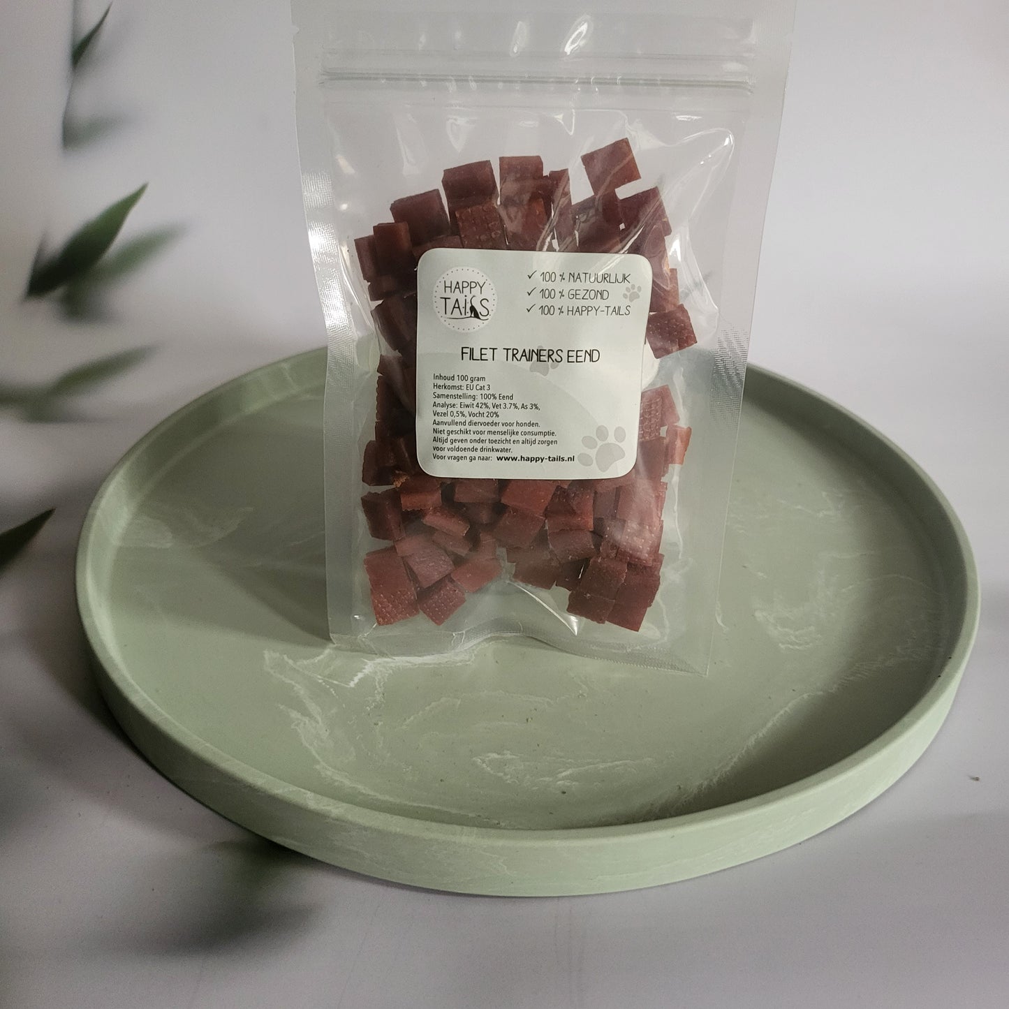 Filet trainer eend