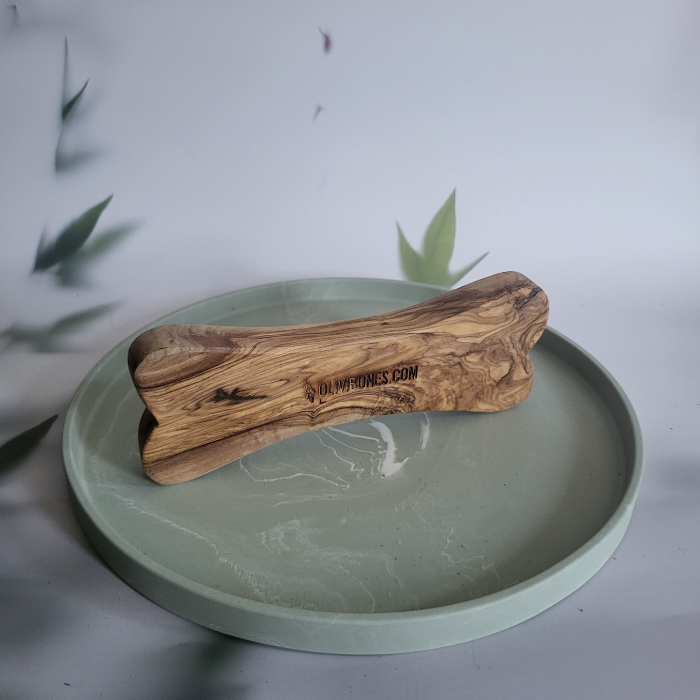 Olivi bone L