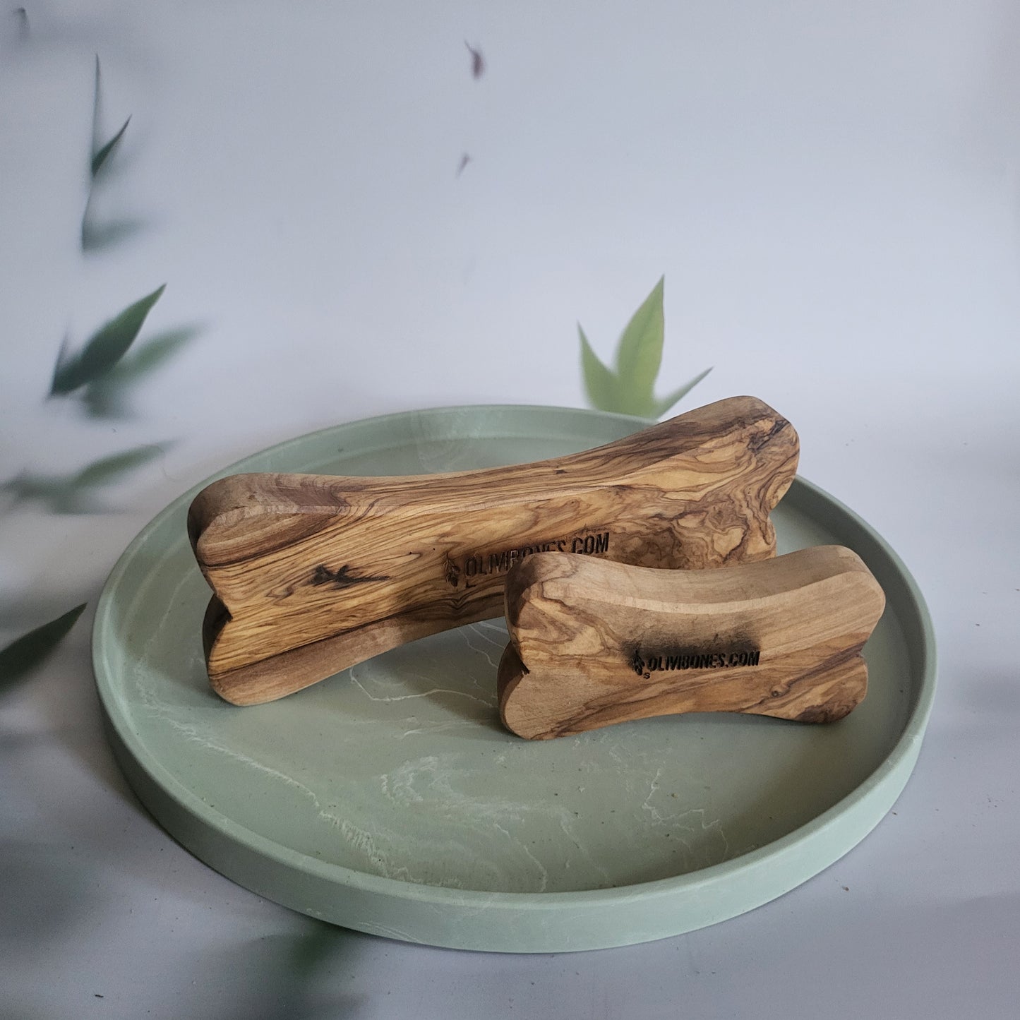 Olivi bone S