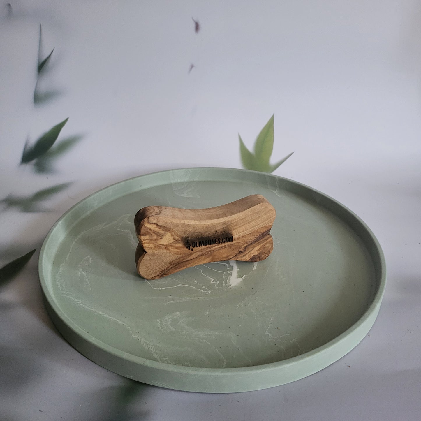 Olivi bone S
