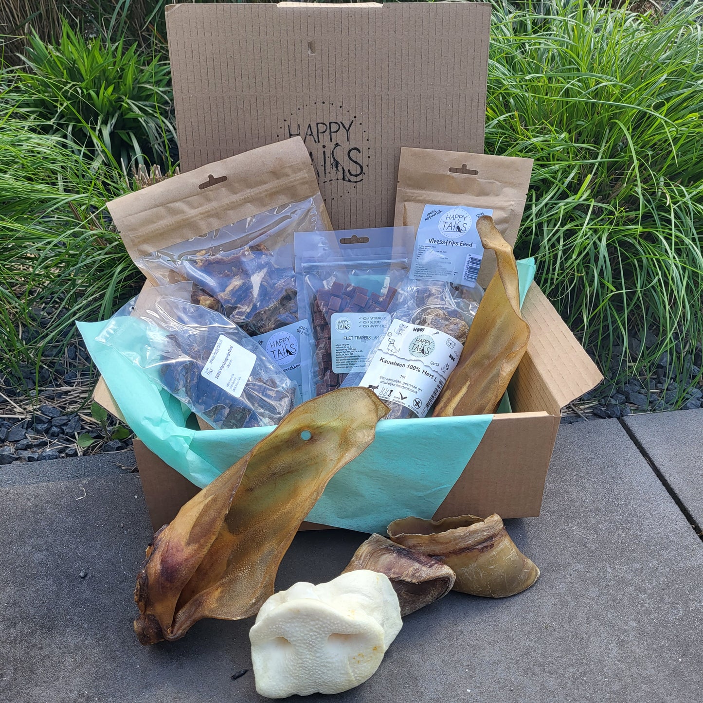 Snackbox puppy