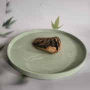 Olijfboomkauwwortel maat S