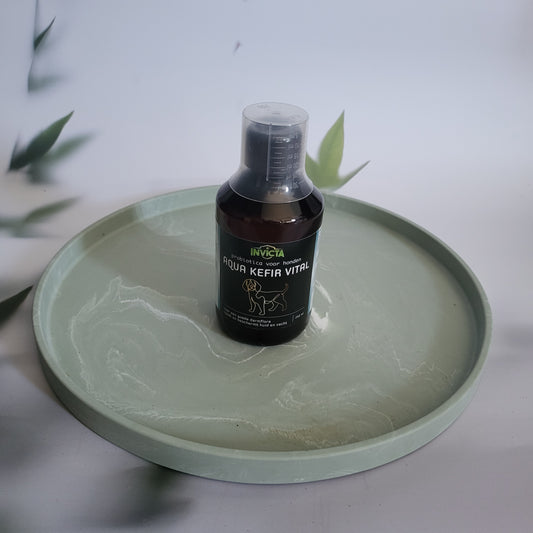 Aqua kefir vital