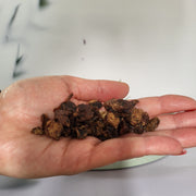 Paardenlong trainers