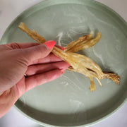 Herten achilles pees