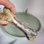 Kauwbot rund met zalm