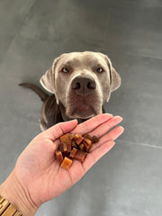 Filet trainer kalkoen