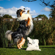 Happy-Tails tote bag