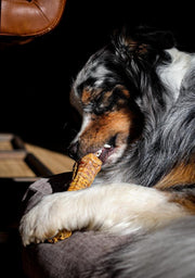 Kauwbot runderluchtpijp