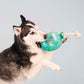 I pawty, you pawty balloon