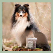 Emmertje runderlongtrainers