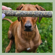 Visfrikandellen Bulk