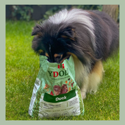 Ydolo Duck 10 kg
