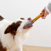 Garden spade snuffle toy