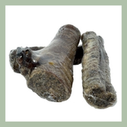 Gevulde buffel luchtpijp