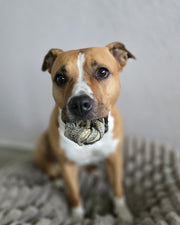 Kabeljauwhuid ringen