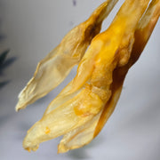 Konijnen oren naturel