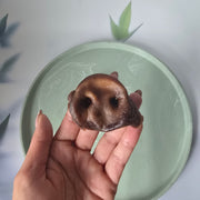 Varkensneus naturel per stuk