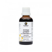 De Groene Os Solidago Complex