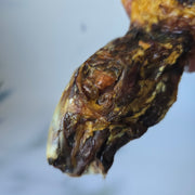 Konijnenkop zonder vacht