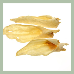 Geitenoren