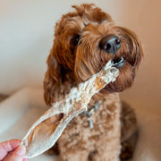 Konijnenoren met vacht