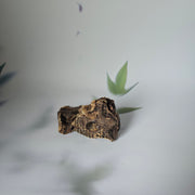 Herten strottenhoofd schijfjes