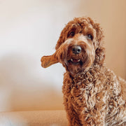 Kauwbot 100% Hertenhuid L