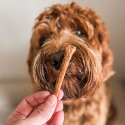 100% Vleessticks Eend