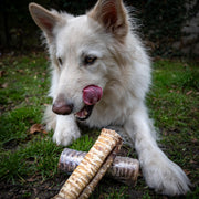 Gevulde buffel luchtpijp