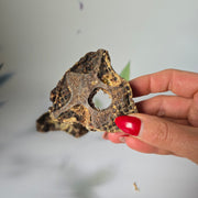 Herten strottenhoofd schijfjes