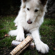 Gevulde buffel luchtpijp
