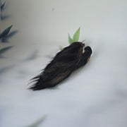 Buffel oor met vacht