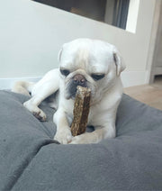 Denta Bone Forel/wilde kruiden