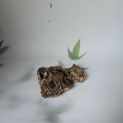 Herten strottenhoofd schijfjes