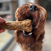Kauwbot 100% hertenhuid/kamala (pup/senior) maat L