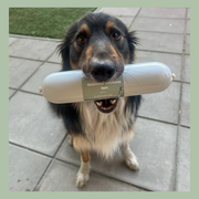 Gestoomde vleesworst Hert 800 gram