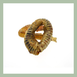 Donut luchtpijp (rund)