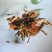 DIY Argentijnse, rode garnaal