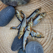 Petbit sprotjes