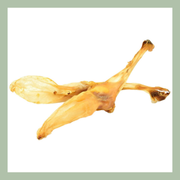 Konijnen oren naturel