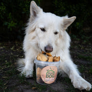 DuoDog uitgebakken paardenvet
