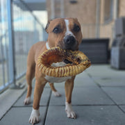 Donut luchtpijp (rund)