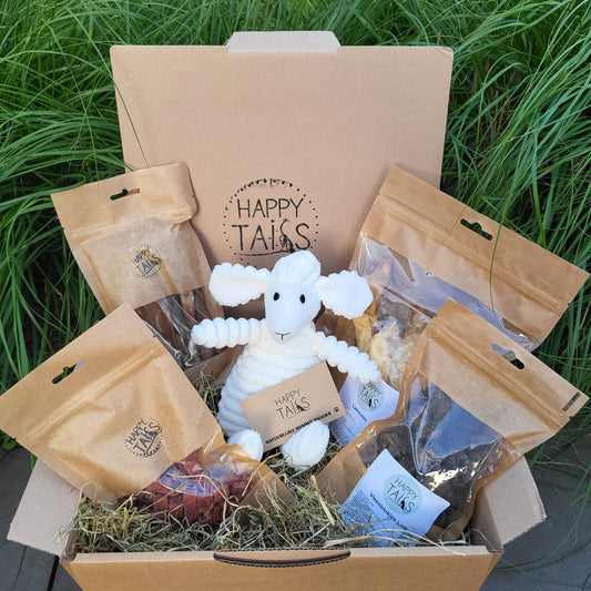 Snackbox Lam