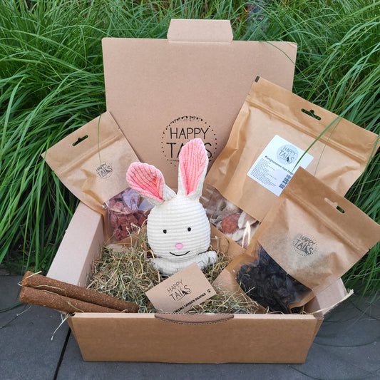 Rabbit Box