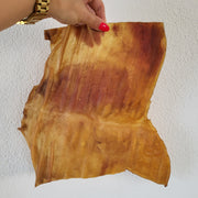 RunderKophuidplaat XL