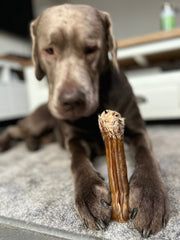 Kauwbot paardenhuid/kamala