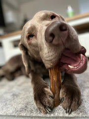 Kauwbot paardenhuid/kamala